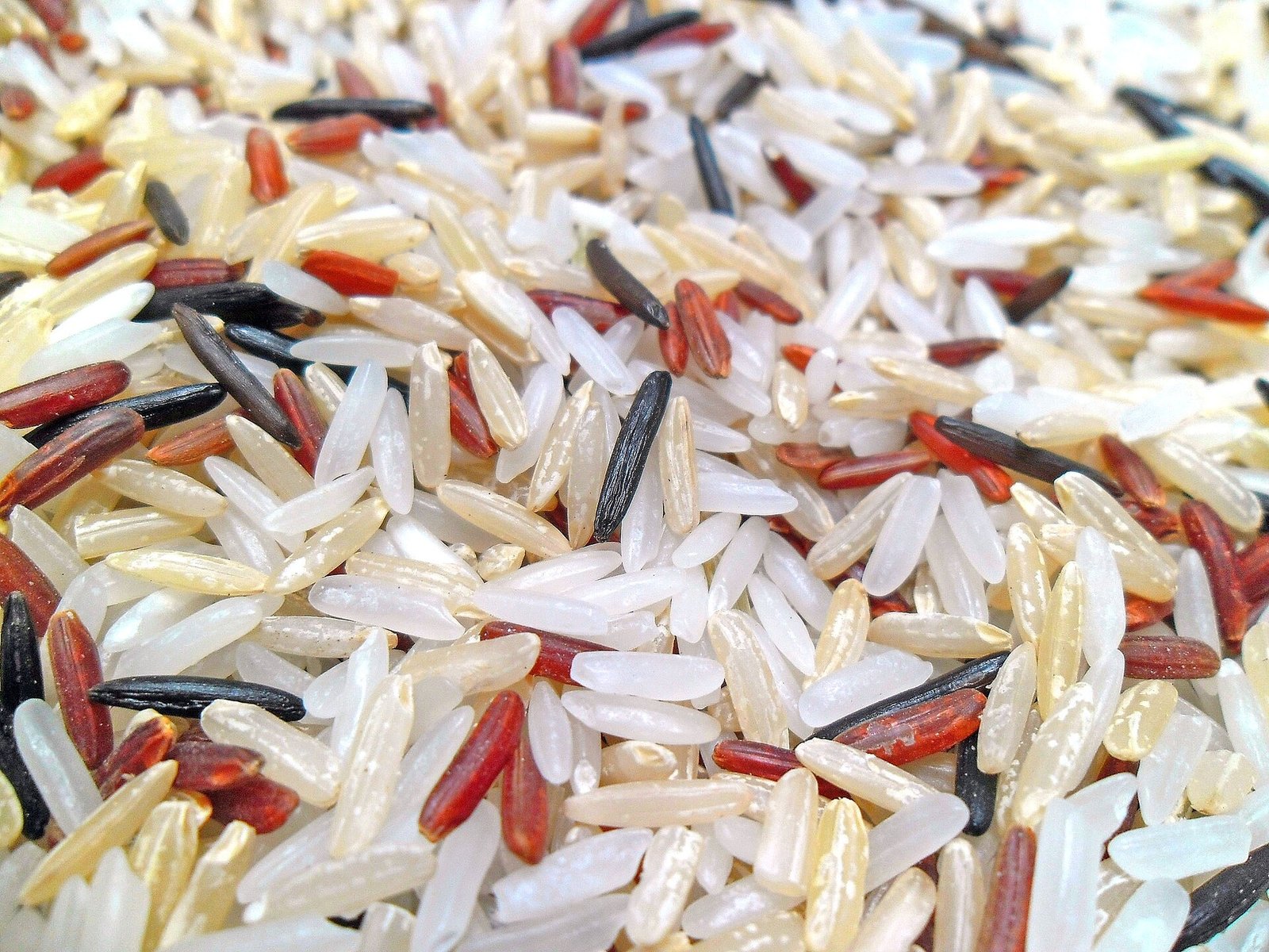 White, brown, red and wild rice shown side by side